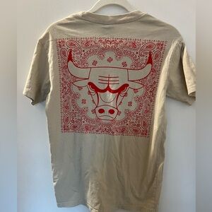 Ultra Game Chicago Bulls NBA Men’s Tee